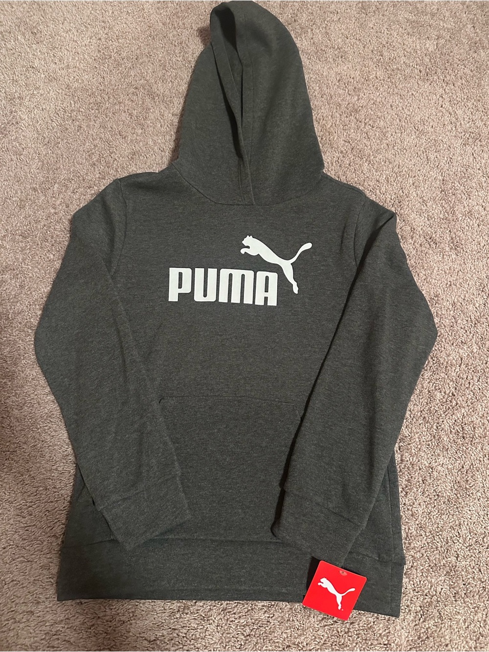 NWT Puma Kids Hoodie Dark Gray with White Logo (Youth Medium)